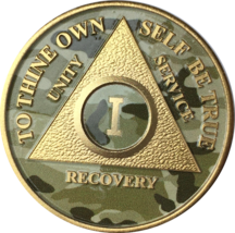 Camo &amp; Gold Plated AA Medallion Any Year or Month 1 - 65 Chip - £15.65 GBP