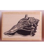 CONCHA SHELL NEW RELEASE NEW mounted rubber stamp - €4,77 EUR