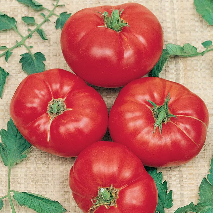 USA SELLER 50 Seeds Box Car Willie Tomato Red Juicy Vegetable Garden Fast Shippi - £12.18 GBP