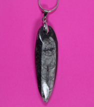 Authentic Orthoceros Necklace Fossil 500 Million Years Old Dinosaur Girl... - $41.13 CAD