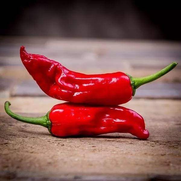 KingStore 25 Seeds Fresh Heirloom Italian Pepperoncini Premium Pepper - £7.09 GBP