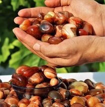 Pietre crollate di corniola rossa all'ingrosso | Lotto di guarigione dei... - $68.69+