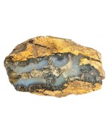 Petrified Wood South Dakota 1 lb 9 oz 5” x 3&quot; x 2.75&quot; Wooden Rock Stone ... - $644.26 MXN