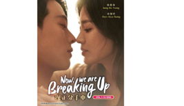 Korean Drama: Now, We Are Breaking Up Vol.1-16 End DVD [English Sub] - £23.17 GBP