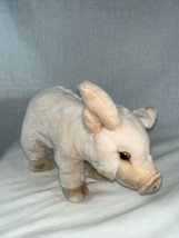 Ganz Webkinz WKS1012 Signature Pig Plush Animal No Code Now Retired - £19.65 GBP