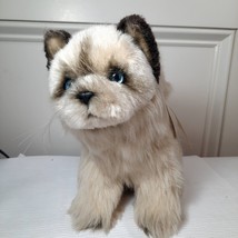 Vintage Avanti Plush Himalayan kitten Cat grey Stuffed Animal lifelike w/ tag - £28.40 GBP