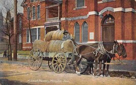 Cotton Horse Wagon African American Drover Memphis Tennessee 1907 postcard - £6.07 GBP