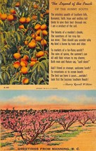 Manning South Carolina~Legend Of The PEACH-THE Sunny South~Greetings Postcard - £3.85 GBP