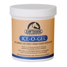 Hawthorne Ice-O-Gel Horse Liniment 16 oz - £19.08 GBP