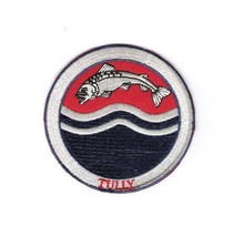 Game of Thrones Tully House Sigil Riverrun Logo Embroidered Patch, NEW UNUSED - £3.36 GBP