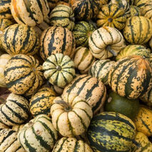 Sweet Dumpling Winter Squash Cucurbita Máxima Heirloom Non-Gmo 30 Seeds - $8.96