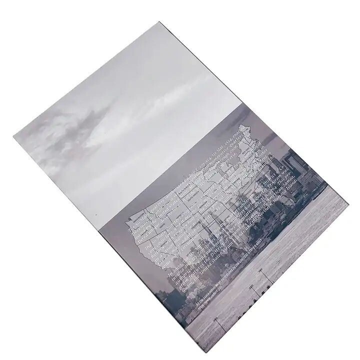 1999-2009 Con Schiuma Interno Moneta Collezione Album per USA Stato Quarter Item image 4