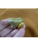 (Y-FRO-568) yellow Mexican lace agate FROG stone gemstone figurine I lov... - $18.69