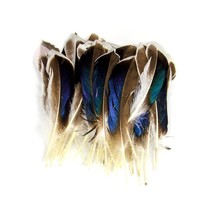 50Pcs Natural Feathers For Crafts 4-6Inch(10-15Cm)Diy Carnival Halloween... - £21.95 GBP