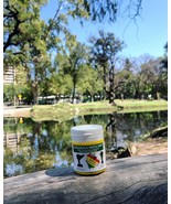 Ecologica Natu Diet Stevia Rebaudiana | Organic Natural Powder Sweetener... - $26.00