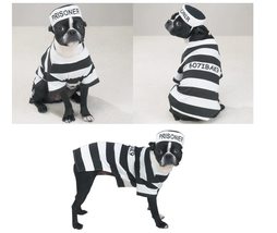 Prison Costume for Dogs Dress Your Pooch as Your Favorite Prisoner Bad Dog! (Lar - £21.94 GBP+
