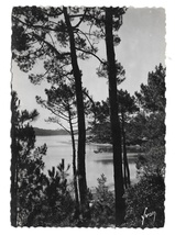 France Lac Marin Hossegor Landes View Thru Pines Glossy YVON RPPC Postcard 4X6 - $4.99