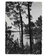 France Lac Marin Hossegor Landes View Thru Pines Glossy YVON RPPC Postca... - £3.98 GBP
