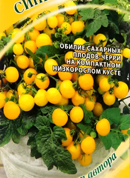 Titmouse Micro Dwarf Tomato Seeds (From Russia) - £8.77 GBP