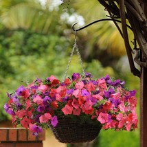 Easy Wave Spreading Petunia South Beach Garden Flower Mix 30 Seeds USA Fast Ship - £16.09 GBP