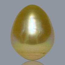 Giant Oval 14.1 x 17.5mm 23.7 Carats Deep Gold Philippines South Sea Pearl Loose - $206.17