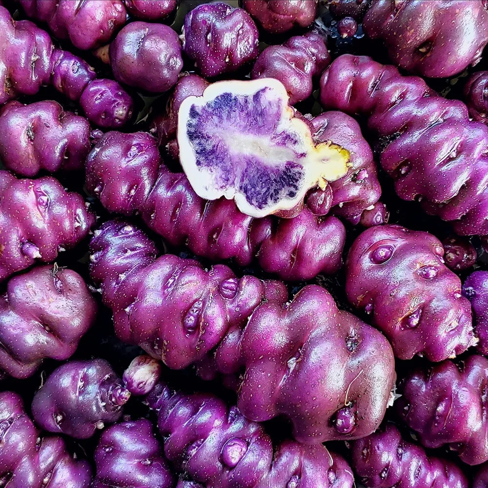 4 Peruvian Andean Potato Seeds - Cuchipa Ismayni - £11.71 GBP