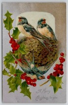 Christmas Greetings Bluebirds In Nest Hollyberry Postcard N22 - £3.15 GBP