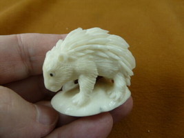tb-porc-5 little white porcupine Tagua NUT palm figurine Bali carving Po... - $35.76