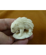 tb-porc-5 little white porcupine Tagua NUT palm figurine Bali carving Po... - £28.33 GBP
