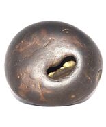 Raro Laxmi Narayan Shaligram - Trichakra Lakshmi Narayana - Gandaki Rive... - $1,311.43 CAD
