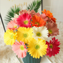 Artificial Real Touch Gerbera Barberton Daisy Stems (Set of 6) - $12.99