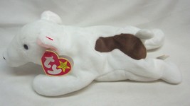 Vintage Ty Beanie Babies Butch The White Terrier Dog 9&quot; Stuffed Animal 1999 New - £13.01 GBP