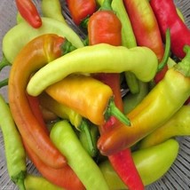 Fresh USA Seller Hungarian Sweet Wax Sweet Pepper Frying Pickling Pepper - £11.32 GBP