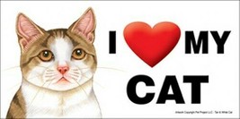 I (Heart) Love my CAT Tan &amp; Wht Cat Cute Car Fridge Large Magnet 4x8 Wat... - $6.76