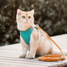 Cat Harness - $28.46+