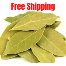 100 grams Organic Bay Leaf Laurus Tree Seed Laurel Noble Natural Product ورق غار - £12.02 GBP