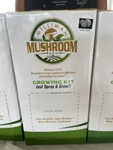 Blue Oyster Indoor Mushroom Grow Kit Ready to Grow! Fast Shipping - $29.69