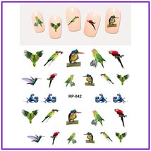 Nail art water transfer stickers decal different types of parrots RP042 - $3.09