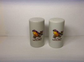 San Diego Zoo Souvenir Ceramic Salt &amp; Pepper Shakers Vintage Unused - £11.69 GBP