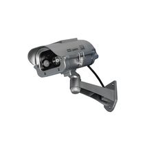 Solar Powered Dummy Camera with Motion Activated Flashing LED - £23.18 GBP