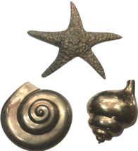 Large Brass Shell Wall Hangings, Conch, Starfish Snail, Coastal Nautilus... - $112.50