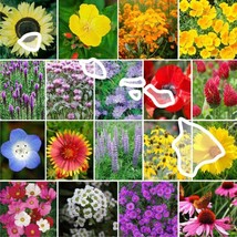 US Seller 1000 Seeds Wildflower Hawaii State Flower Mixs &amp; Annuals - £8.11 GBP