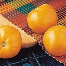 Mountain Gold Tomato Seeds Gardening Fresh USA Shipping - £8.54 GBP