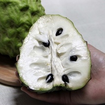 Soursop, 5 Seeds D - $12.35