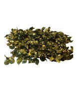 Ashland Faux Pothos Leaves Artificial Greenery Vines Decor Garland 6ft 3... - £29.41 GBP