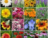 1000 Seeds Wildflower Mix All Perennial Heirloom Pollinator Non Gmo Fres... - $8.99
