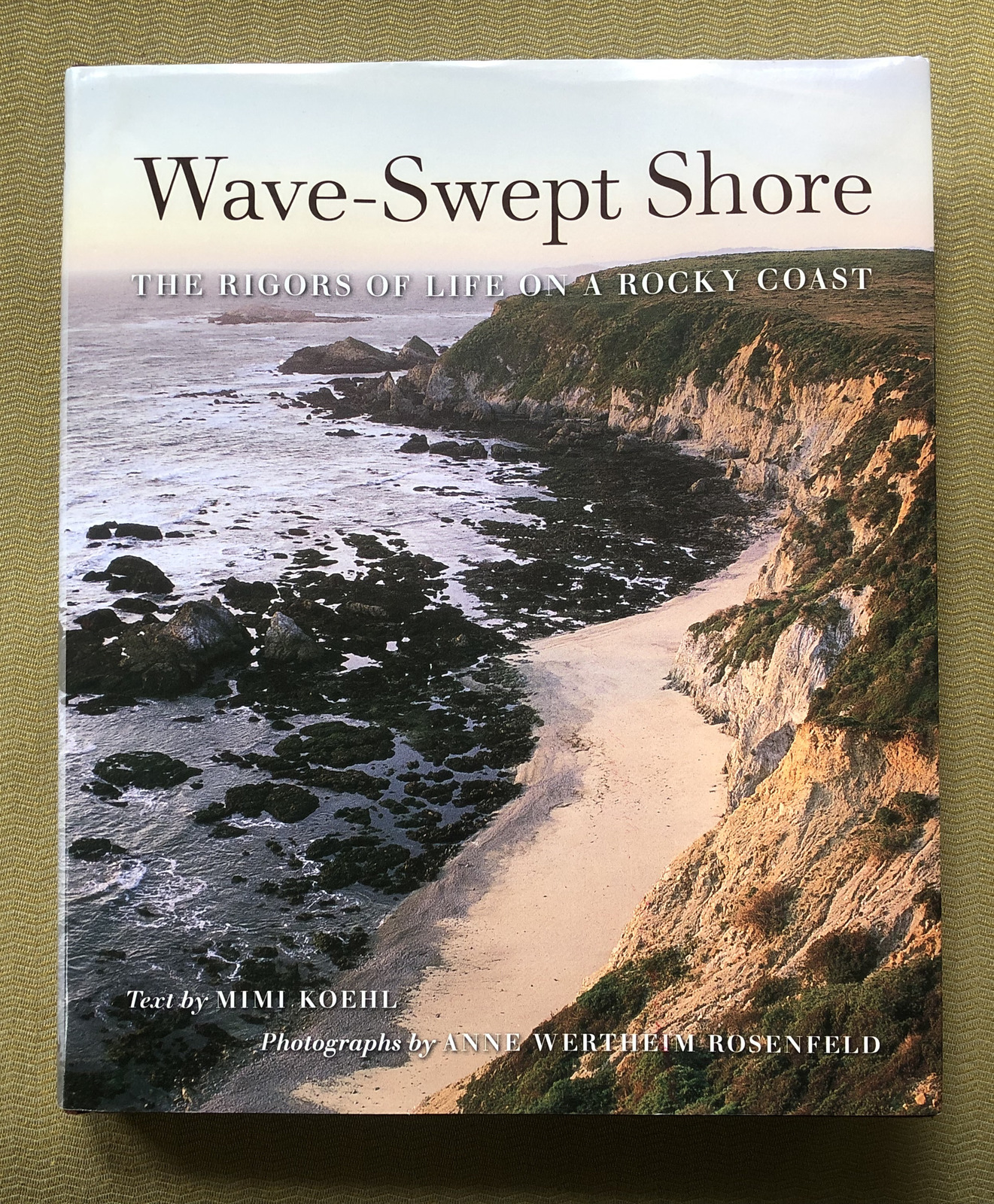Primary image for Wave-Swept Shore hardback book