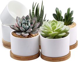 ZOUTOG Succulent Pots, White Mini 3.15 Inch Ceramic Flower Planter Pot w... - $24.00