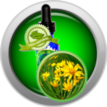 Arnica Montana Liquid Extract *Concentration 1:8* - $12.99+