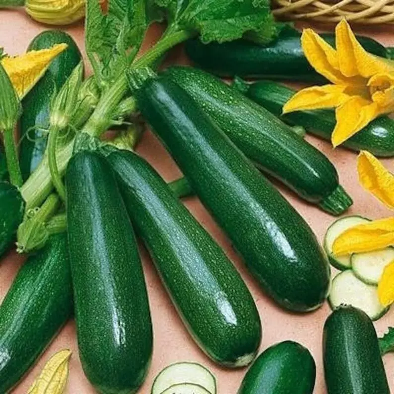 AW 25 Seeds Black Beauty Zucchini Squash Heirloom Vegetable Herb Easy To... - $9.50